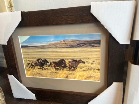 Mustang Run by artist Claire Porter